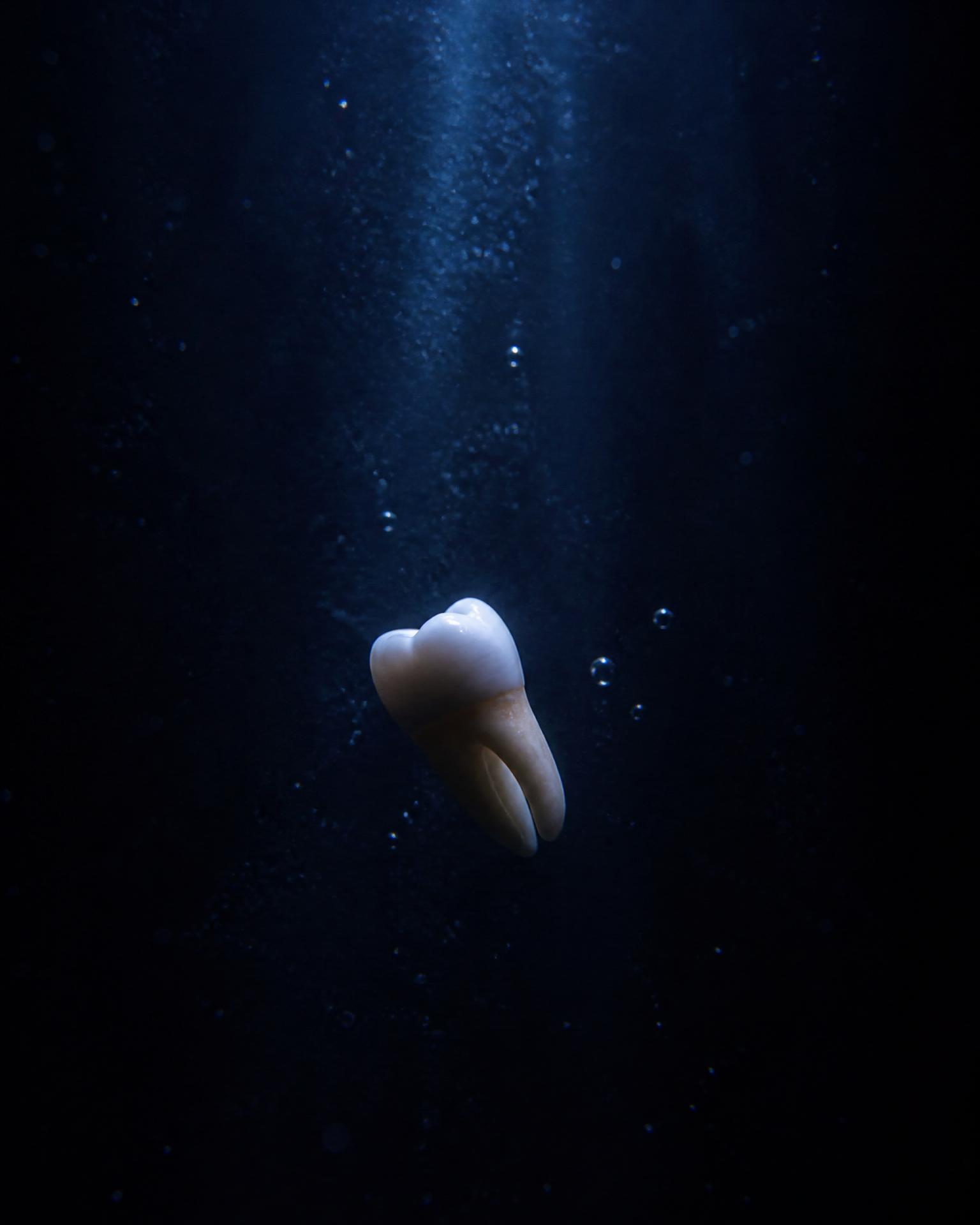 Diente flotando en agua oscura, ondulando lentamente